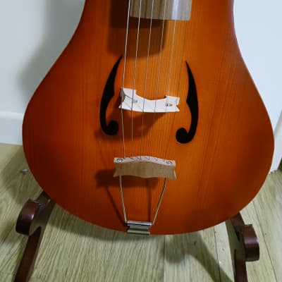 Philippe Berne 'Aperggione' 6 string guitarviol/cello 2011 - rosewood, spruce, maple image 3