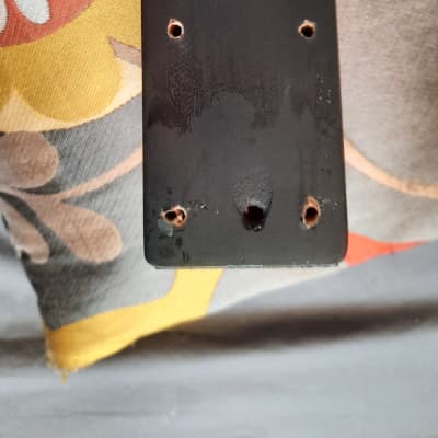 Epiphone special neck relic project image 4