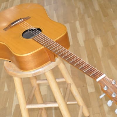 LAKEWOOD D-8 Dreadnought / All Massive / 1992 Made In Germany (Musima Factory) image 3