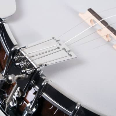 Washburn B11K 5-String Resonator Banjo w/ HSC. New with Full Warranty! image 3