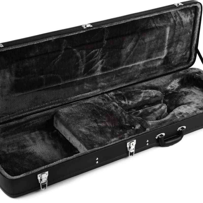 Epiphone explorer bass case 2025
