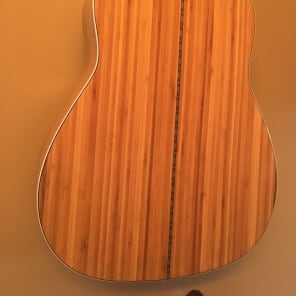 Yamaha  FGX-B1 Rare Bamboo Guitar image 4