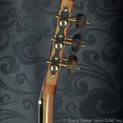 Roberto Rozado Concert Classical Spruce top Guitar/Elevated Neck image 19