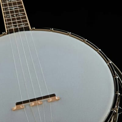 Recording King RK-R35-BR "Madison" Resonator Banjo. New with Full Warranty! image 8