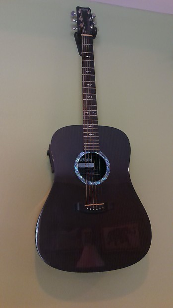 Rainsong dr1000 new arrivals