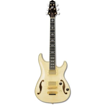 Ibanez AWD102 Artcore Custom image 1