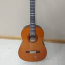 YAMAHA C-40 Classical Guitar w/ Qwik Tune Guitar Professor