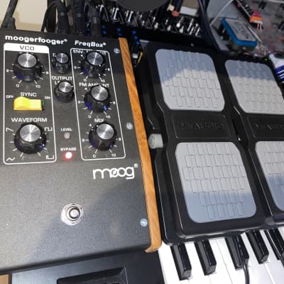 Moog Moogerfooger MF-107 FreqBox with two new expression pedals image 1