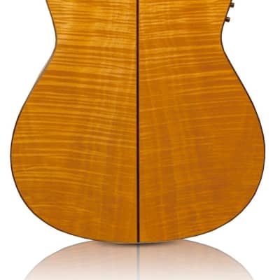 Cordoba Fusion 12 Maple - Solid Spruce top, Maple back/sides image 2