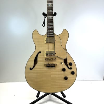 Ibanez Artcore As103-NT-01 image 1