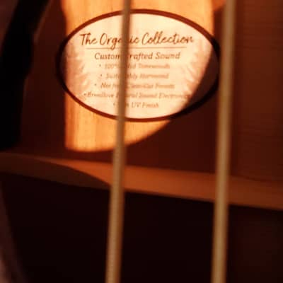 Breedlove Wildwood Concerto Satin CE Acoustic Electric Guitar image 11