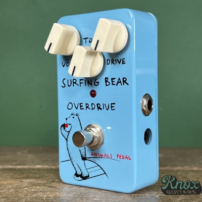 Animals Pedal Surfing Bear Overdrive V1 2010s - Graphic