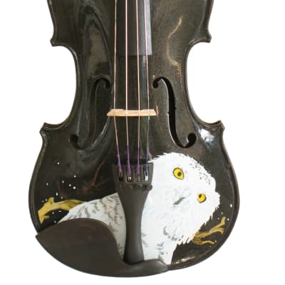 Rozanna's Mystic Owl Midnight Black Glitter Violin - 4/4 for sale