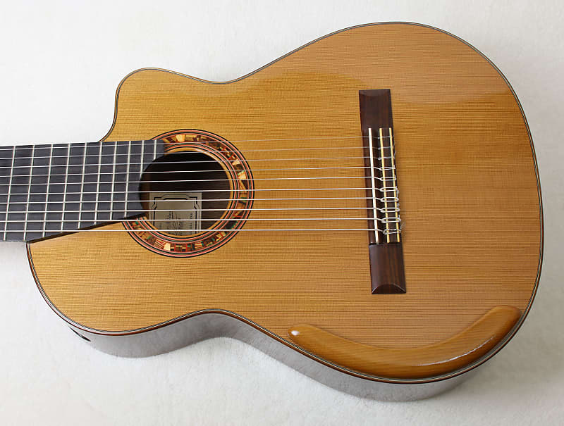 RARE Lucio Nuñez 10-String Classical Harp Guitar w/Cutaway, Arm Rest, Sound Port, Cedar/Cocobolo, TKL Hardshell Case image 1