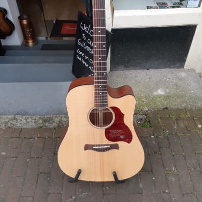 Richwood D-20 CE Natural for sale