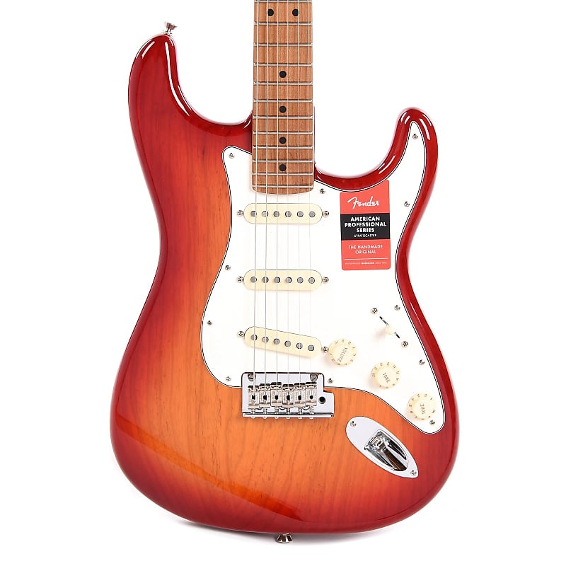 Fender American Professional Stratocaster with Roasted Maple Neck image 2