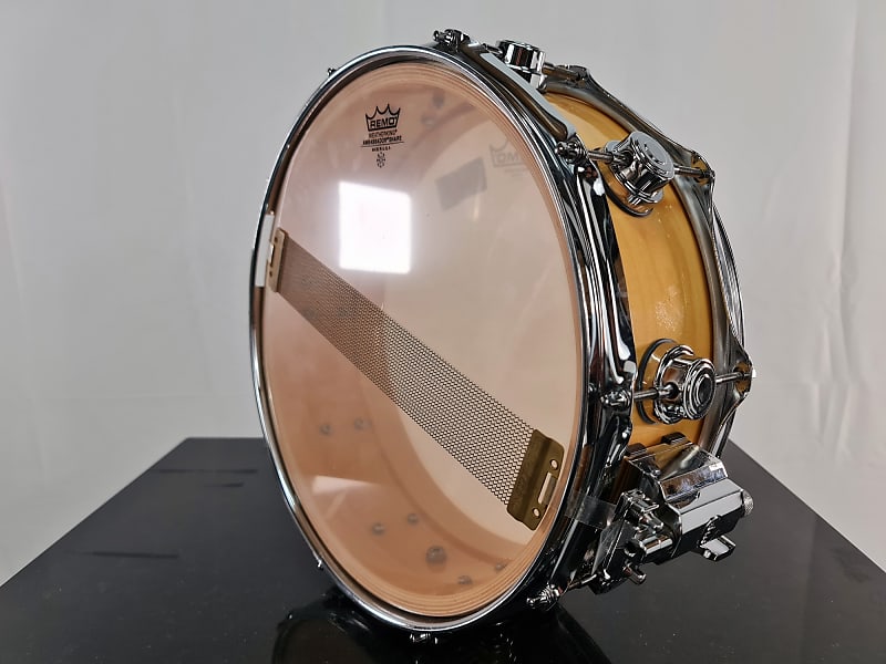 DW Collector's Maple 14 X 5