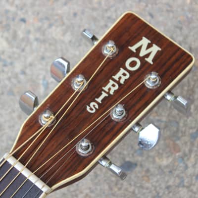 1991 Morris MD-512 Acoustic Guitar (Made in Japan) | Reverb