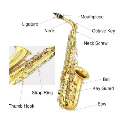 Alto Saxophone Beginner Kit – Brass Body, Smooth Tone, Full Accessory Set, Includes Case, Mouthpiece & Reeds – Ideal for Students and Adults image 2
