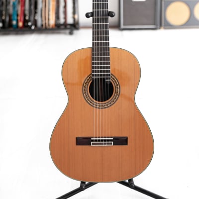 2012 Terry Pack nylon classical guitar for sale