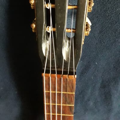 German parlor guitar (1900) steel strings image 16