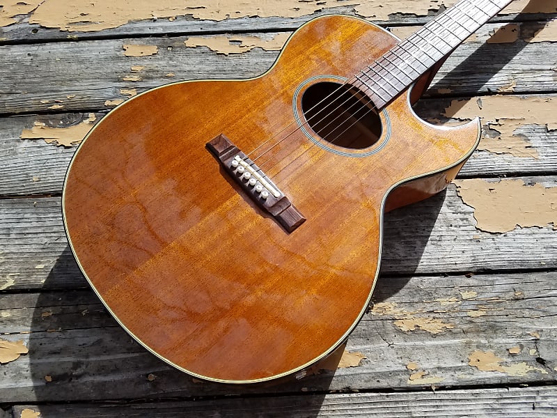 Washburn Woodstock Acoustic Guitar with Hardshell Case - | Reverb