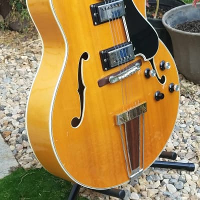 Yamaha AE-11 Archtop Blonde & OHSC | Reverb