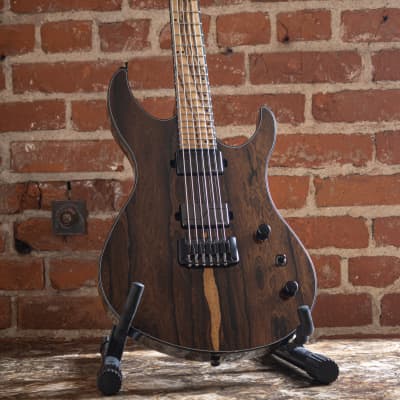 Acacia Guitars Romulus Arc | NAMM 2019 | electric guitar for sale