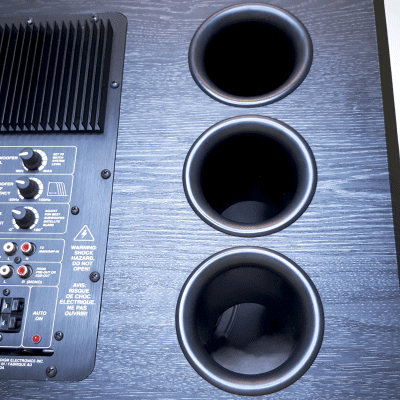 Paradigm PS-1000 PS SERIES オーディオ機器 格安 Amazon.com: Paradigm PS-1000 v.3 重低音喇叭: 電子
