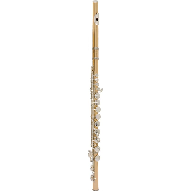 Yamaha YFL-A421BII Professional Alto Flute with Straight and Curved Headjoints image 1