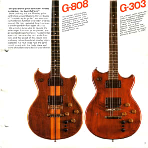 Vintage Roland G303 Rare 1980 model Guitar Synthesizer Controller image 25