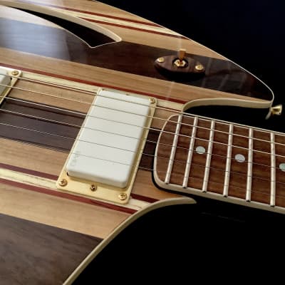 JD Guitars 2023 Neptune-6 image 8