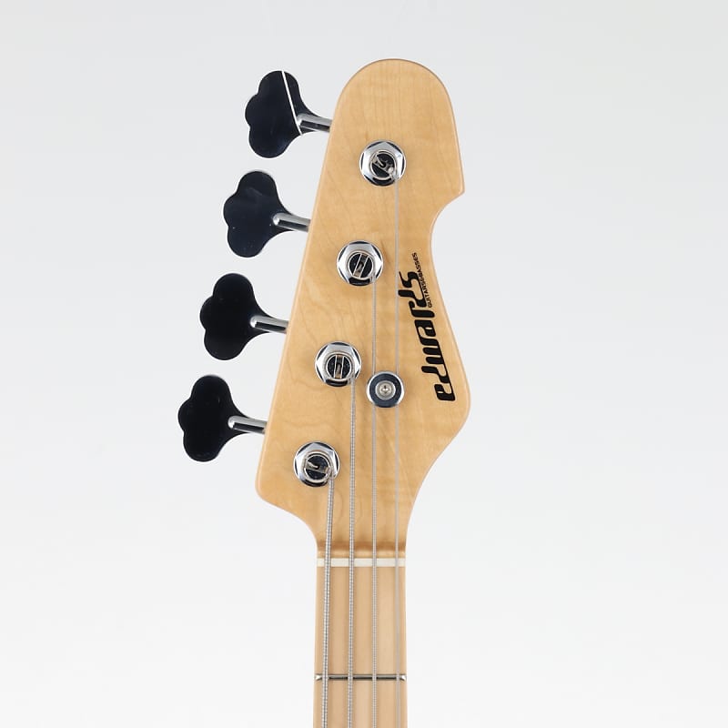 ESP | EDWARDS | E-AM-120M