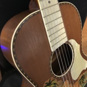 1920s Stromberg-Voisinet (Kay) Hawaiian Themed Parlor Guitar - Very Cool! image 19