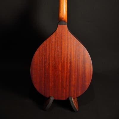 Stevens Mandolin Spruce / Padouk - Natural Satin image 5