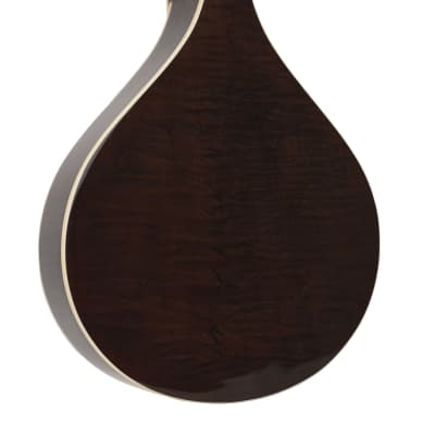 Gold Tone Banjola+ Wood-body Banjo w/Pickup image 8