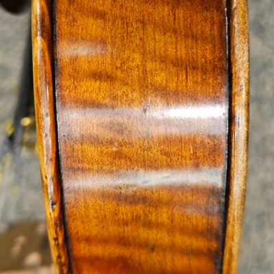 D Z Strad Viola - Model 700 - Viola Outfit Handmade by Prize Winning Luthiers (16" Inch) image 5