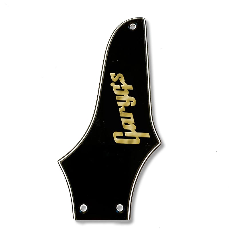 3 Ply Black Truss Rod Cover for Epiphone Thunderbird w Gold | Reverb