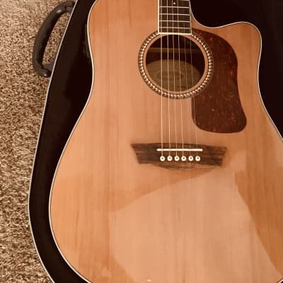 Washburn Acoustic/Electric Guitar w/ Roadrunner Case for sale