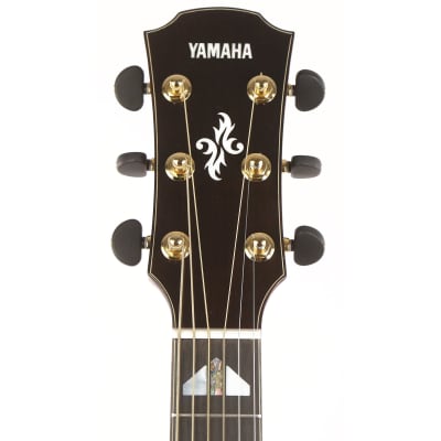 Yamaha APX1200II Acoustic-Electric Translucent Black image 10