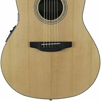 Ovation CS24-4 Celebrity Collection Standard Mid-Depth 6-String Acoustic-Electric Guitar w/Gig Bag image 2