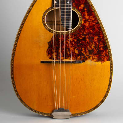 Wm. Stahl Flat back, bent top Mandola made by Larson Brothers c. 1925 natural top, faux rosewood bac image 3