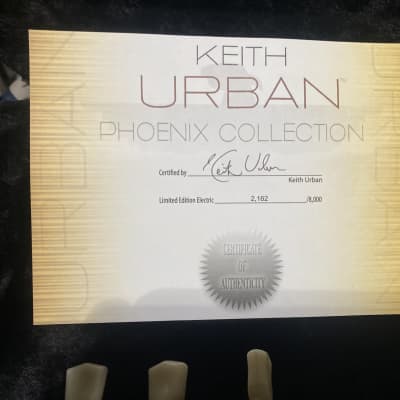 Urban  Phoenix Les Paul Limited Edition  Sunburst image 5