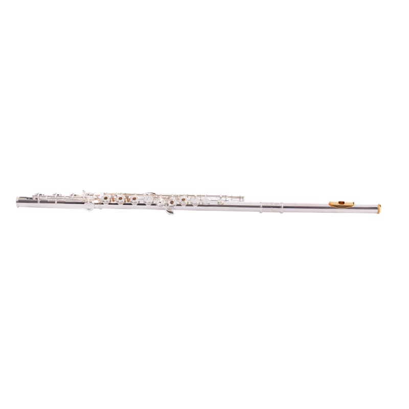 Natsuki Natsuki Flute SG10 (10% Gold - 90% Silver) Gold/Silver | Reverb