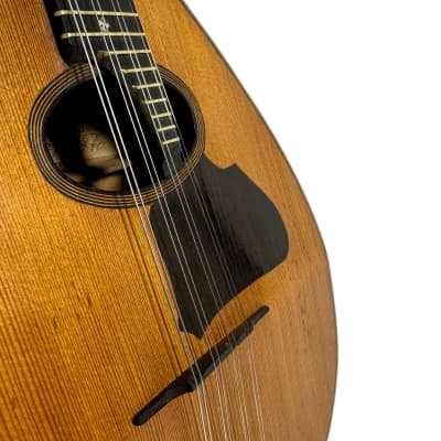 Concert Mandolin Flat-Back Emanuele Egildo N°840 from 1927 image 5