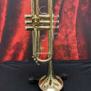Bach TR300 Trumpet (Carle Place, NY)