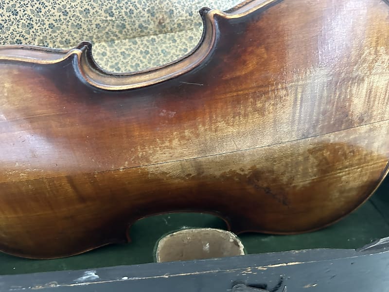 Luigiani バイオリン VL-20  4/4 Luigiani バイオリン VL-20 4/4