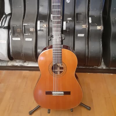 Vintage J. Watson & Co Classical Nylon String Guitar G150, MIJ image 2