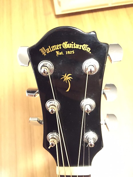 Palmer acoustic electric shop guitar