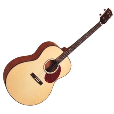 Gold Tone Tenor Guitar - B-Stock image 1